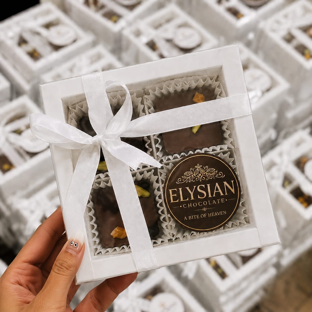 DRY FRUIT CHOCOLATE
